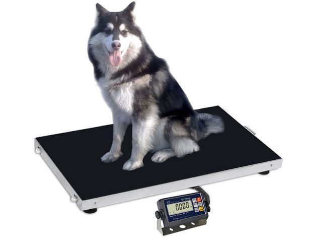 HiWeigh AP950